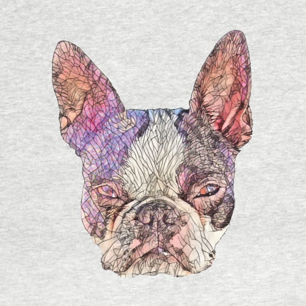 Boston Terrier by DoggyStyles